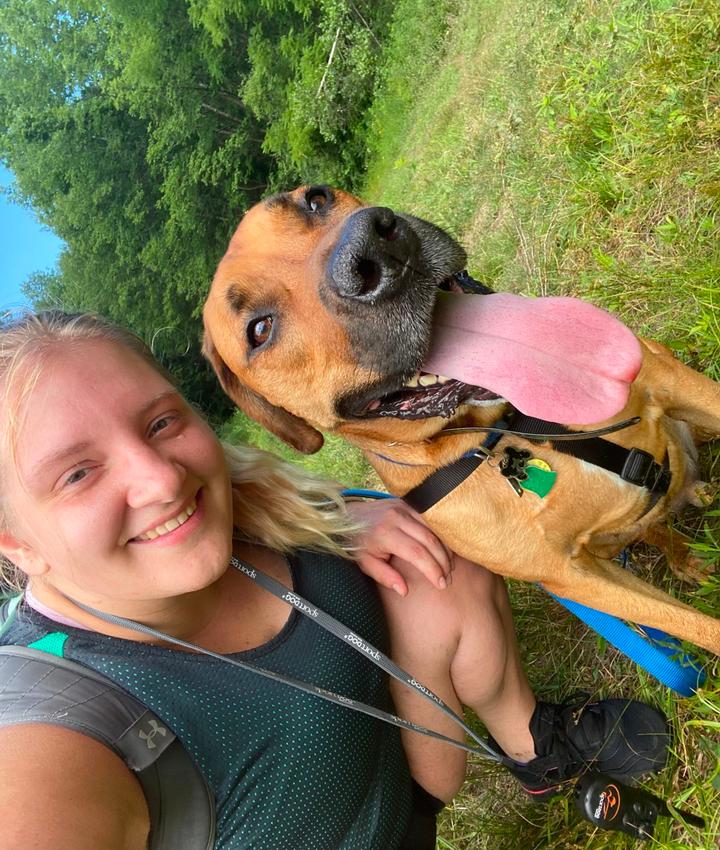 Veterinarians in Middletown | Middletown NY Veterinarians
